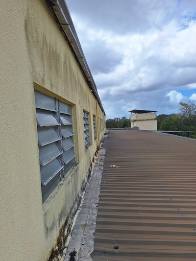 providencia-jardinagem-e-pinturag2336.webp