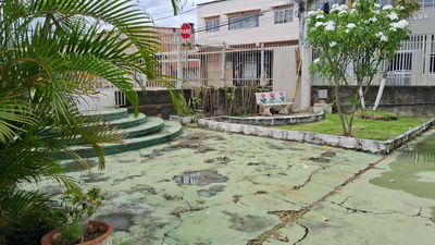providencia-jardinagem-e-pinturag2344.webp