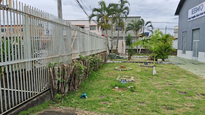 providencia-jardinagem-e-pinturag2345.webp