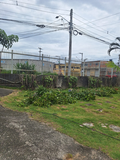 providencia-jardinagem-e-pinturag2346.webp