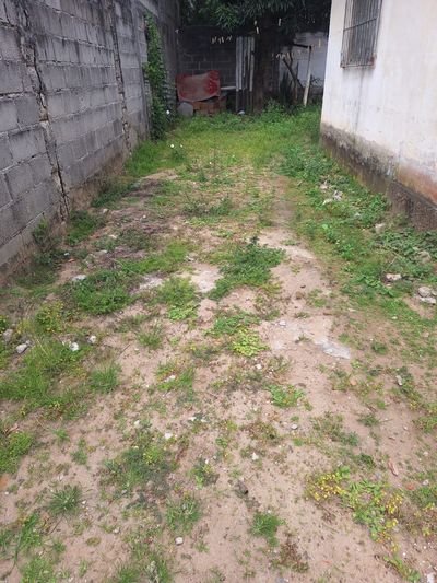 providencia-jardinagem-e-pinturag2496.webp
