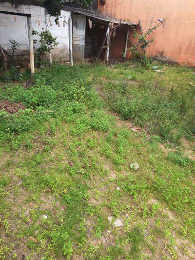 providencia-jardinagem-e-pinturag2497.webp