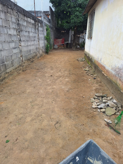 providencia-jardinagem-e-pinturag2498.webp