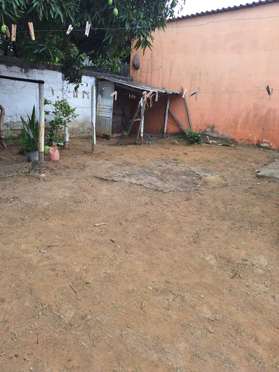 providencia-jardinagem-e-pinturag2500.webp