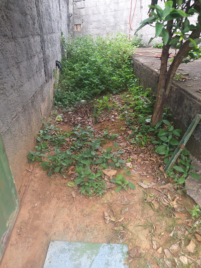 providencia-jardinagem-e-pinturag2502.webp