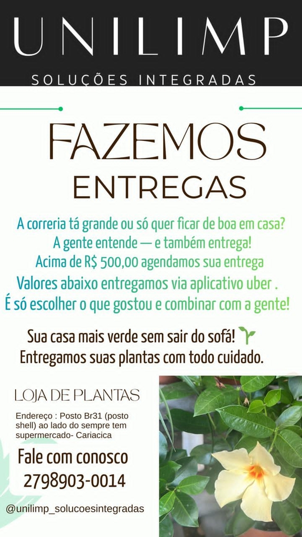 ENTREGAS