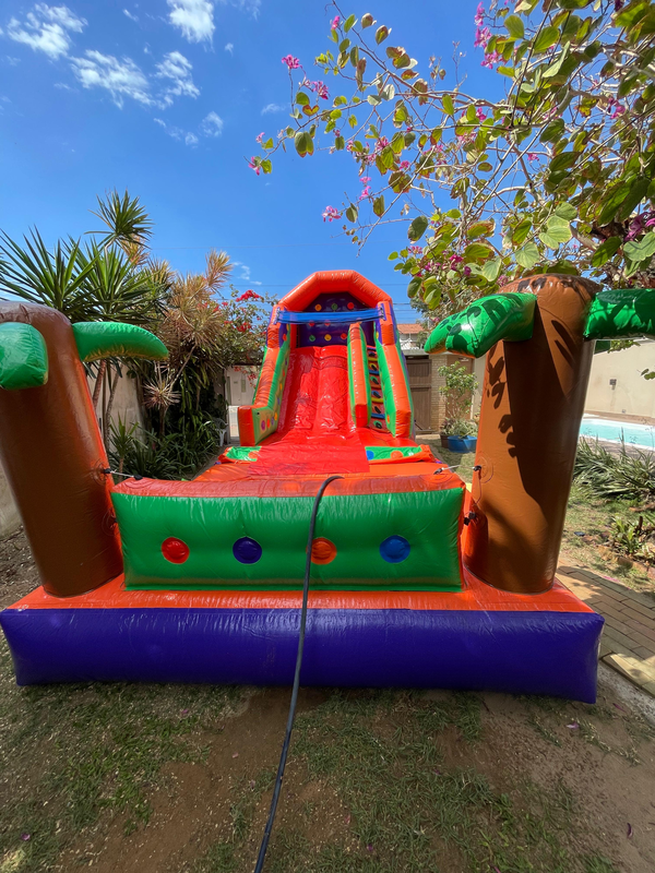 rotts-festasg3281.webp