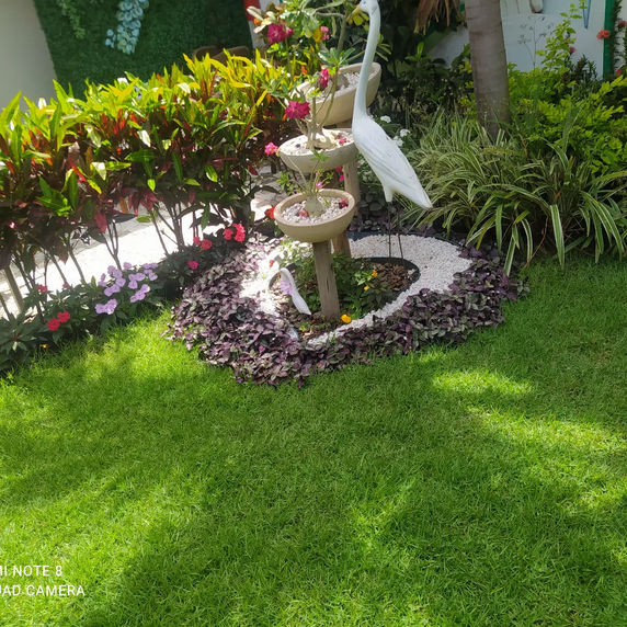 serjap-jardinagemg3628.png