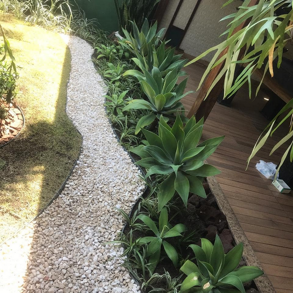serjap-jardinagemg3629.png