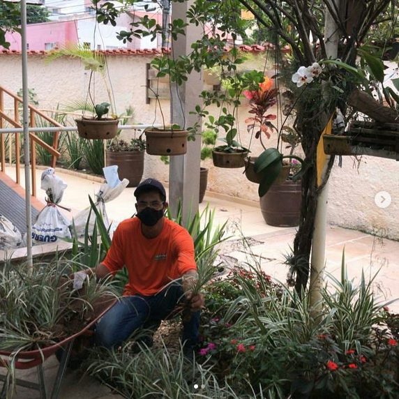 serjap-jardinagemg3633.png