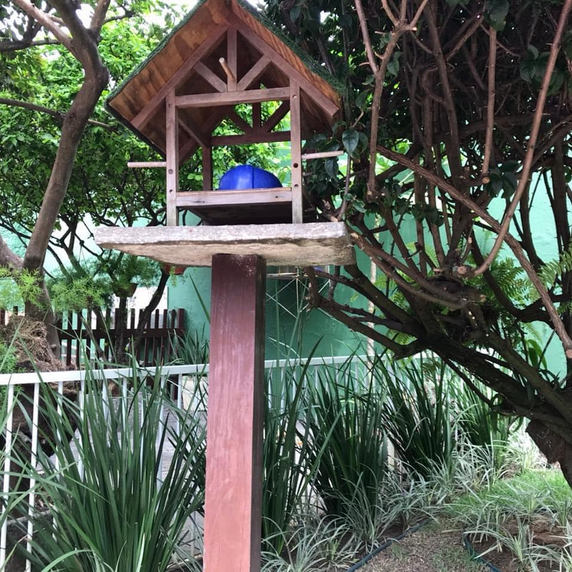 serjap-jardinagemg3636.png