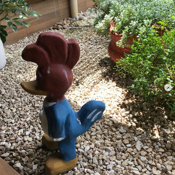 serjap-jardinagemg3637.png