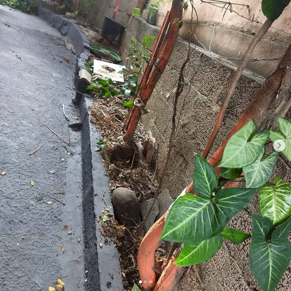 serjap-jardinagemg3644.png