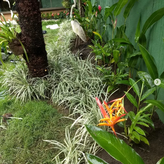 serjap-jardinagemg3652.png