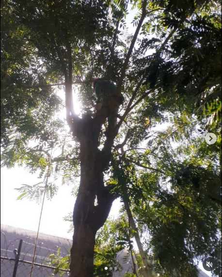 serjap-jardinagemg3657.png