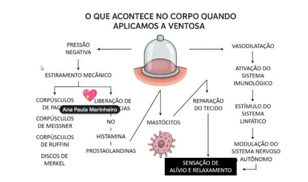espaco-de-massoterapia-corpo-sao-mente-sag3340.webp